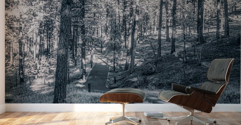 Mount Rushmore: Path Below the Monument in Infrared Magic Wall Murals