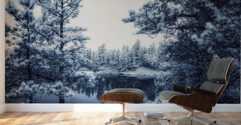 Infrared Tranquility: Capturing the Essence of Bismarck Lake Wall Murals