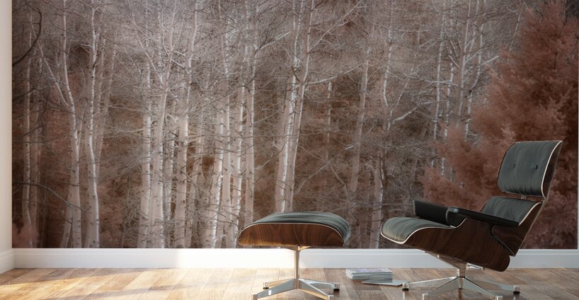 Mueller Aspen Series: Enchanted Woods Wall Murals