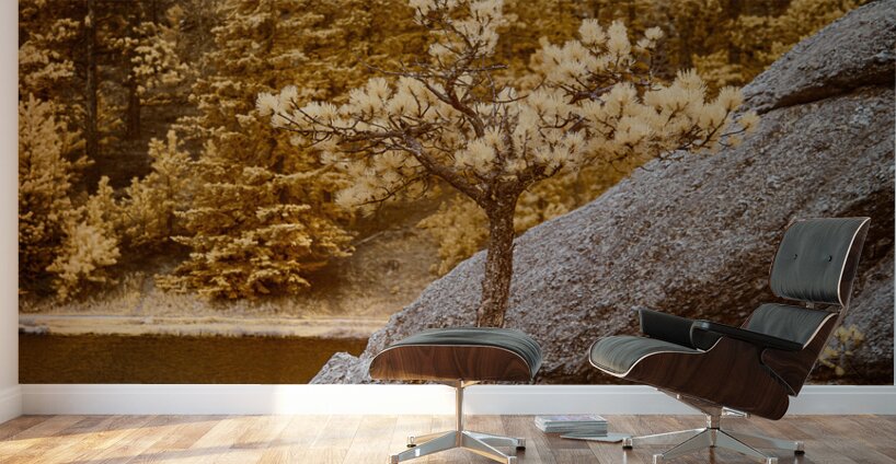 Pine Serenity: An Glimpse of Sylvan Lakes Tranquility Wall Murals