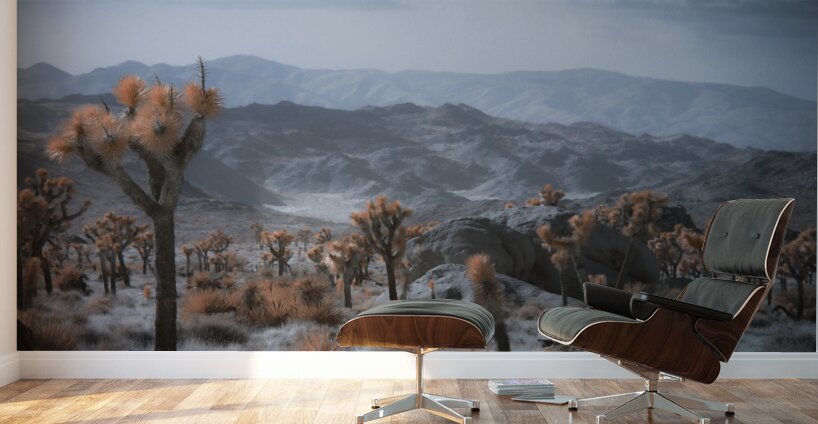 Deserts Spiky Palette Wall Murals