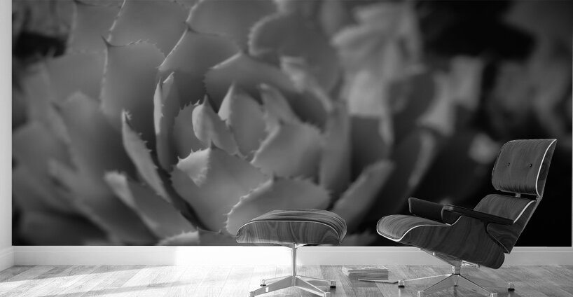 Natures Shadow Ballet Wall Murals