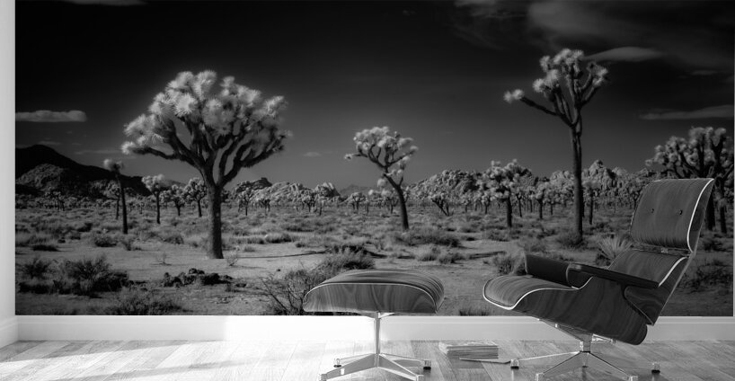 Ghostly Terrain Under Infinite Sky Wall Murals