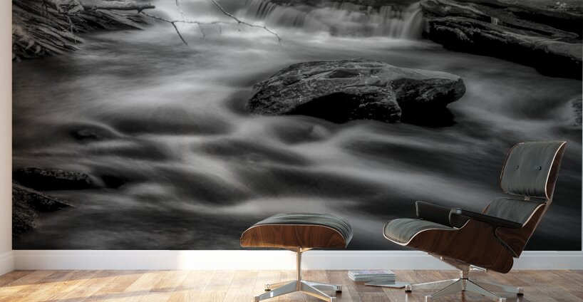 Flowing Elegance Wall Murals