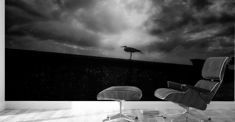 Rainy Day Stroll: Capturing Serenity with a Silhouetted Bird in  Wall Murals