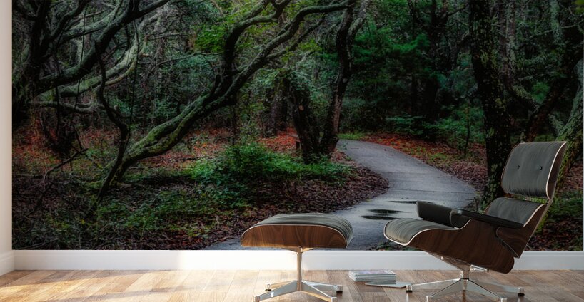 Solitary Trails: Melancholy Path Wall Murals