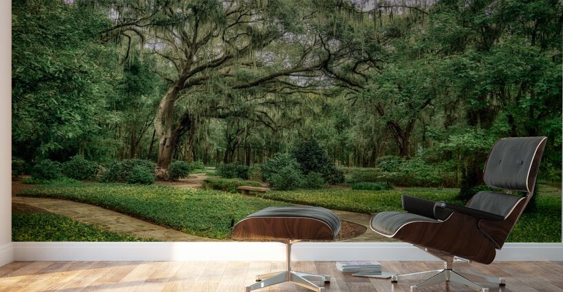 Labyrinths Promise Wall Murals