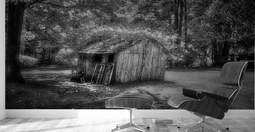 Garden Shack in B&W Wall Murals