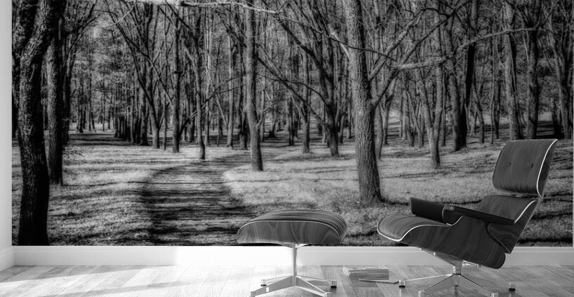 Solitary Trails: Eerie Path Near Knoxville Wall Murals