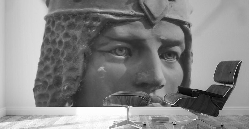 Southern Sentinel Wall Murals