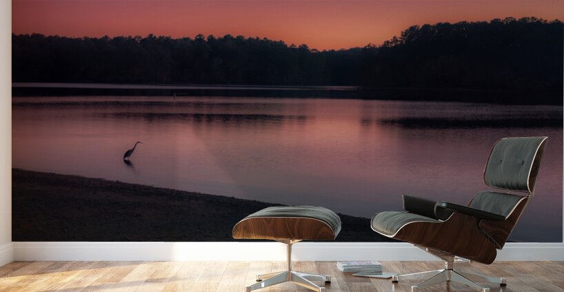 Twilights Whisper Wall Murals