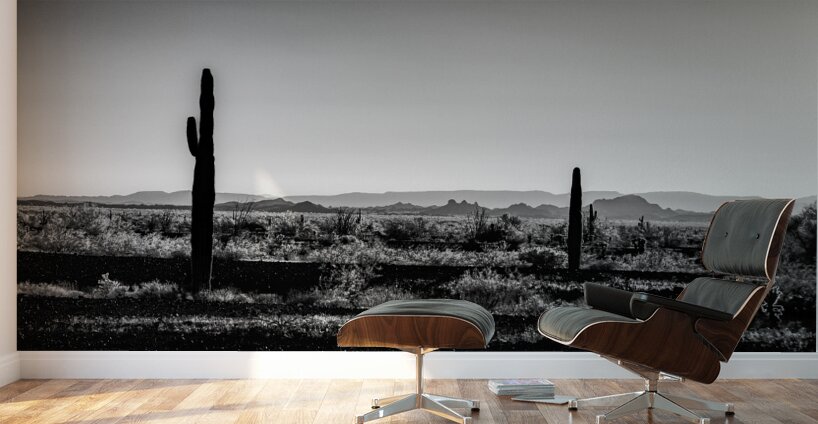 Vast Tranquility Amidst the Sand Wall Murals