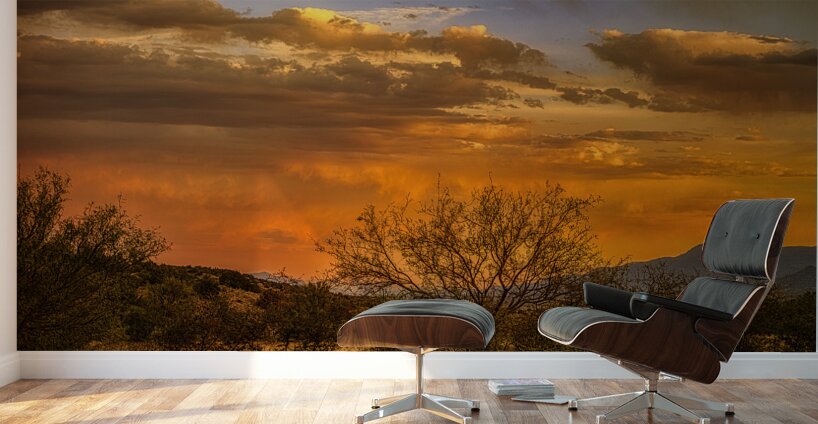 Burning Sky Over Silent Shadows Wall Murals