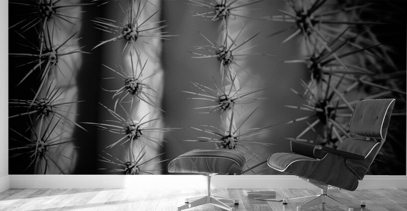 A Tapestry of Thorns Wall Murals