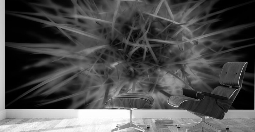 Threading the Needle of Light Wall Murals