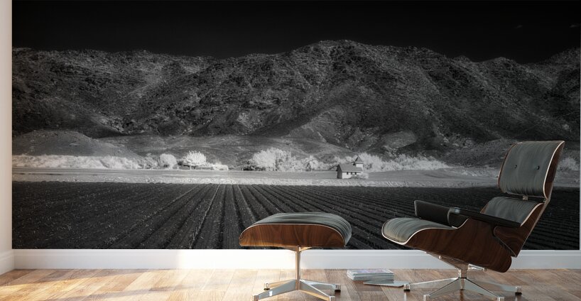 Fields of Infinite Solitude Wall Murals