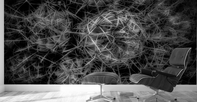 Thorny Tapestries Wall Murals