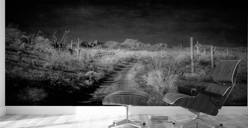 Echoes of Silence Across the Horizon Wall Murals