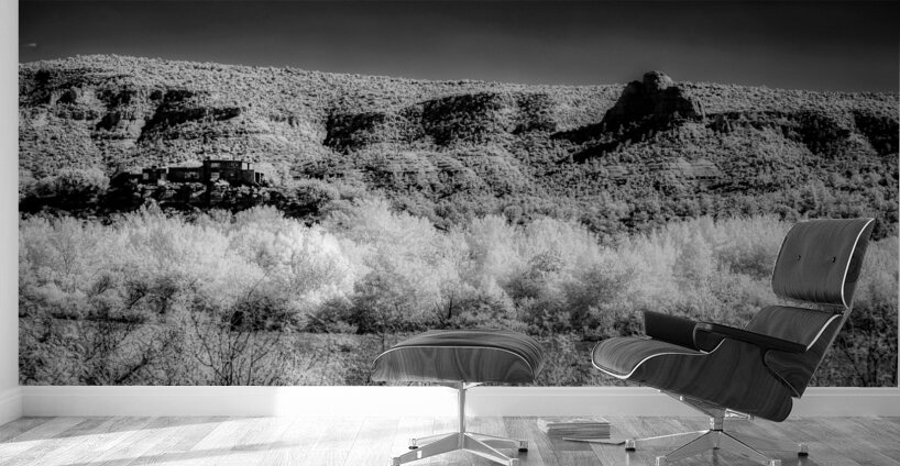 Chiaroscuro of the Forgotten Range Wall Murals