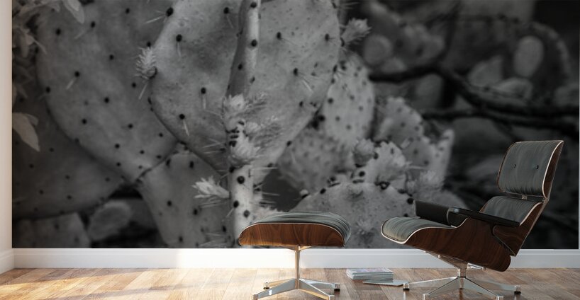 Textured Prickles Wall Murals