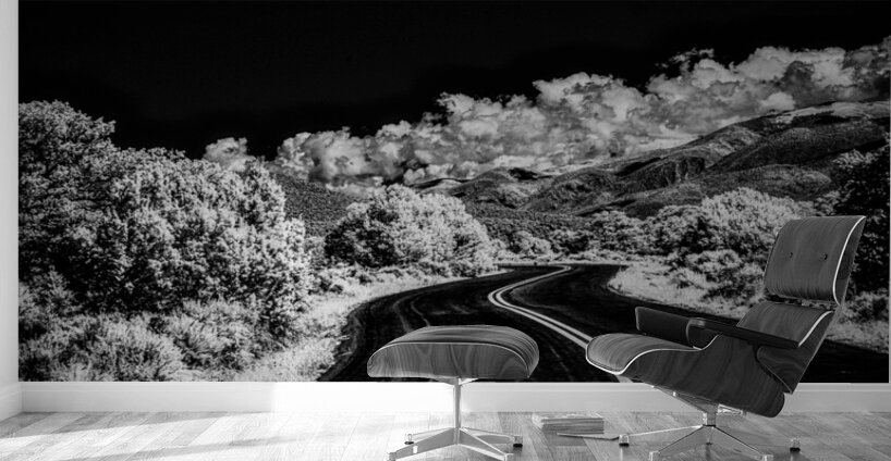 Symphony of Road and Foliage Wall Murals