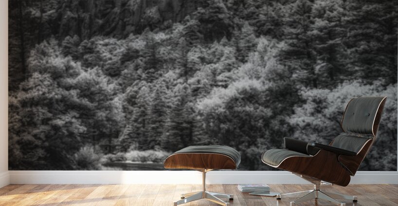 Shadowed Path to Tranquil Peaks Wall Murals