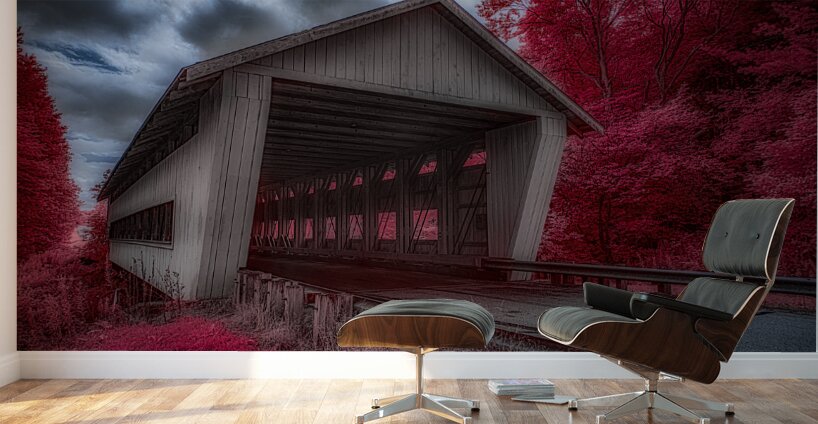 Reds and Shadows of an Ethereal Passage Wall Murals