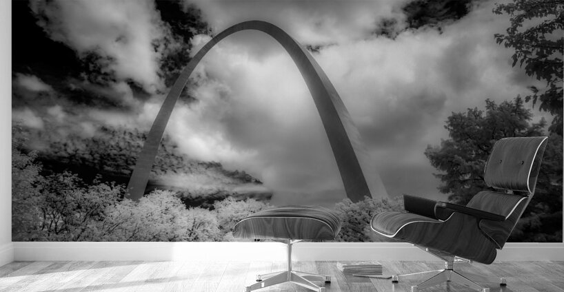 Infinite Curves in Saint Louis Wall Murals