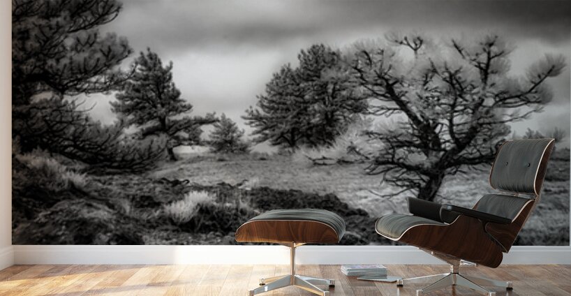 Solitude Unveiled: A Mystical Wyoming Lone Tree at Guernsey Stat Wall Murals