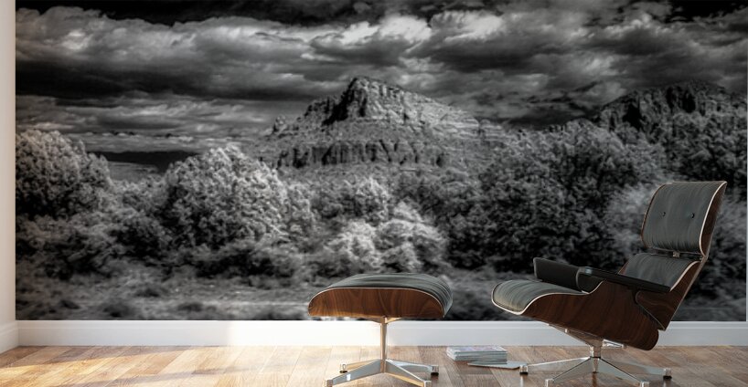 Timeless Elegance of Deserted Peaks Wall Murals