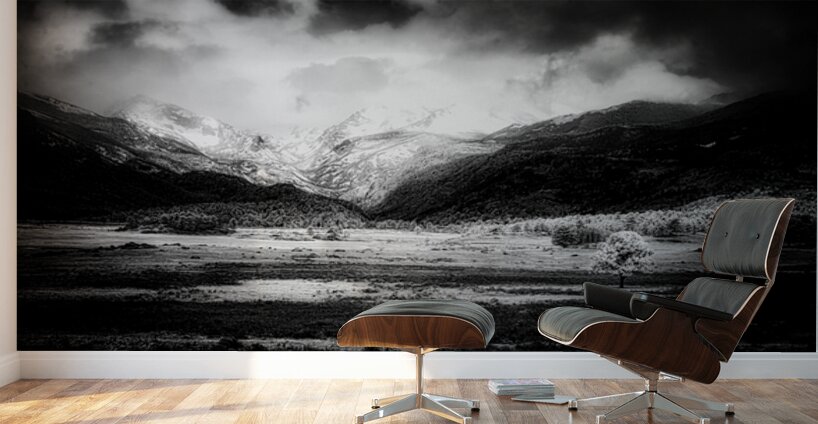 Mountains Embrace: Lone Valley Tree Wall Murals