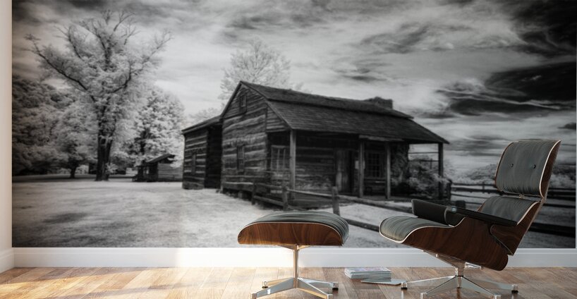 Stairway to History: Stonewalls Ascension Homestead Wall Murals