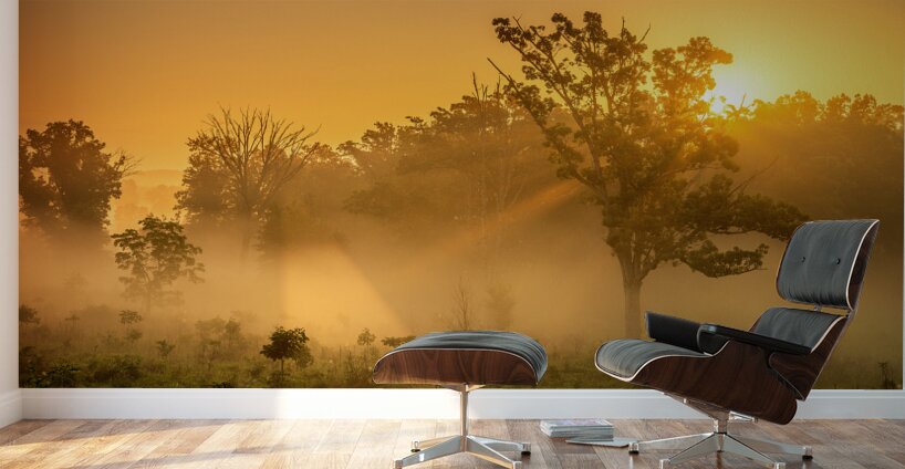 Misty Morning Glow: Dawn in Gettysburg Wall Murals