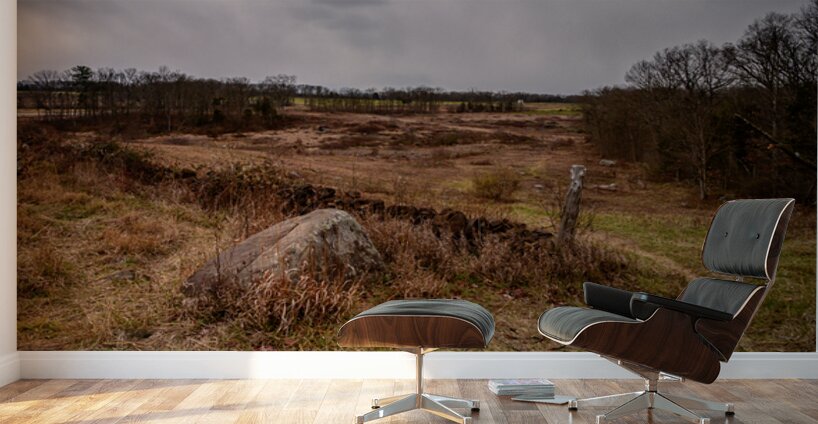 Silent Stones: Devils Den Winter Wall Murals