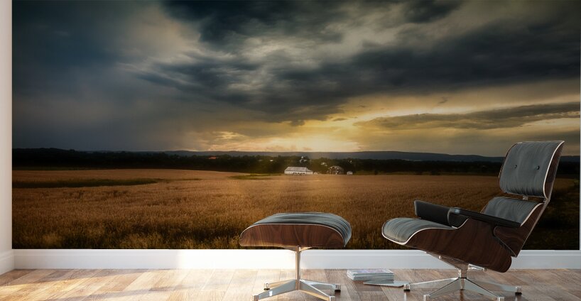 Farmland Sunset Wall Murals