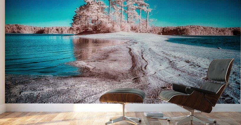 Mystical Dreamworlds: Out There in Windcreek  Wall Murals