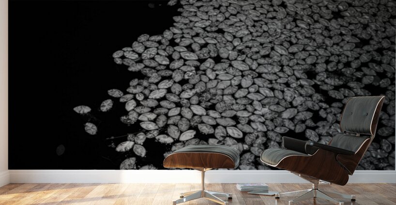 Lily Pad Dance Wall Murals