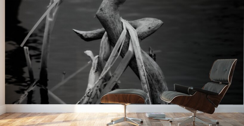 Serene Sylvan Lake: A Tale of Resilience and Reflection Wall Murals