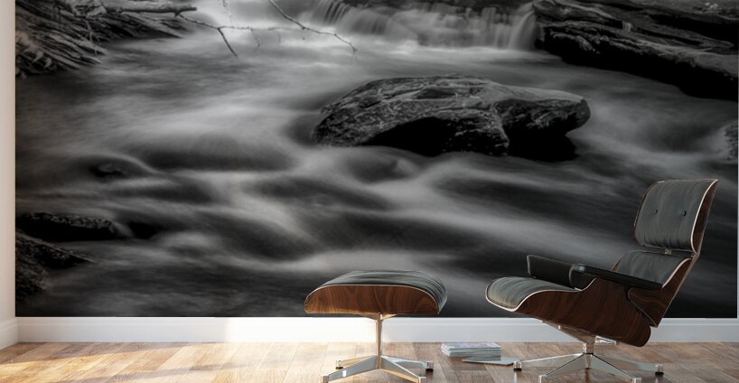 Flowing Elegance Wall Murals