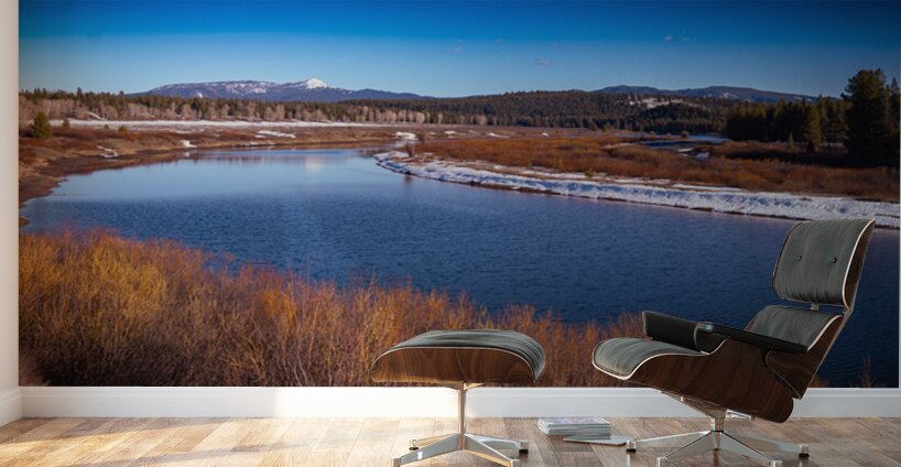 Winters Amber Shores Wall Murals