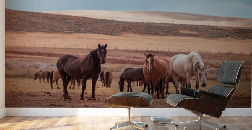 Wild Freedom   Wind River Guardians Wall Murals