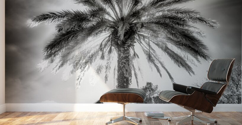 Halo of Fronds Wall Murals