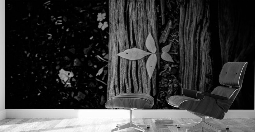 Step Above  Wall Murals