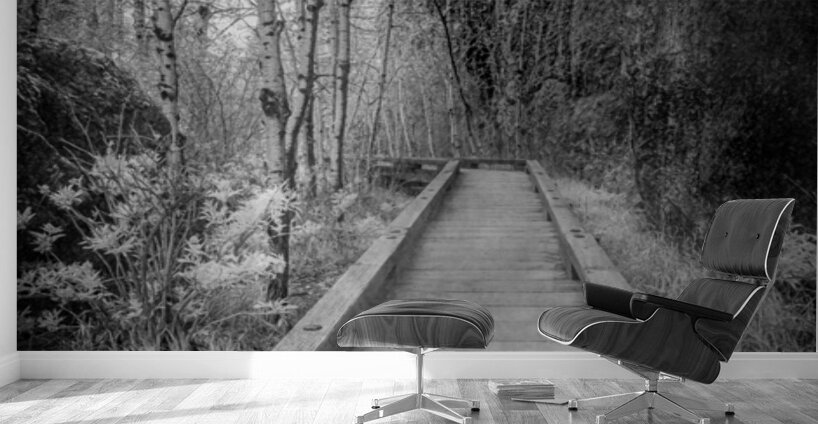 Mystical Journey: Sylvan Lake Wooden Trail in Infrared Wall Murals