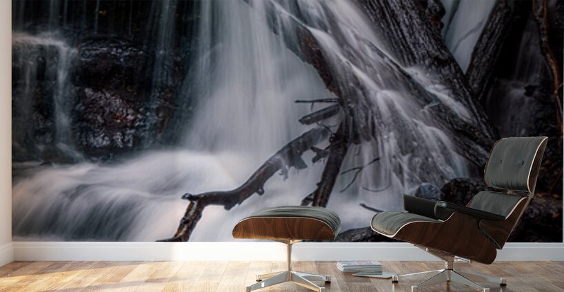 Liquid Light Through Natures Framework Wall Murals