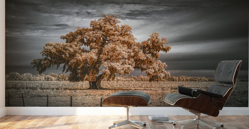 Guardian of the Bayou Country Wall Murals