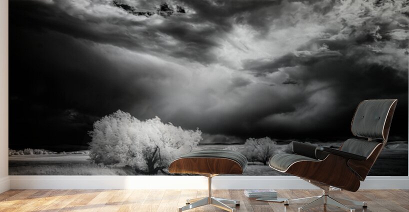 Divine Light   Wyoming Storm Theater Wall Murals