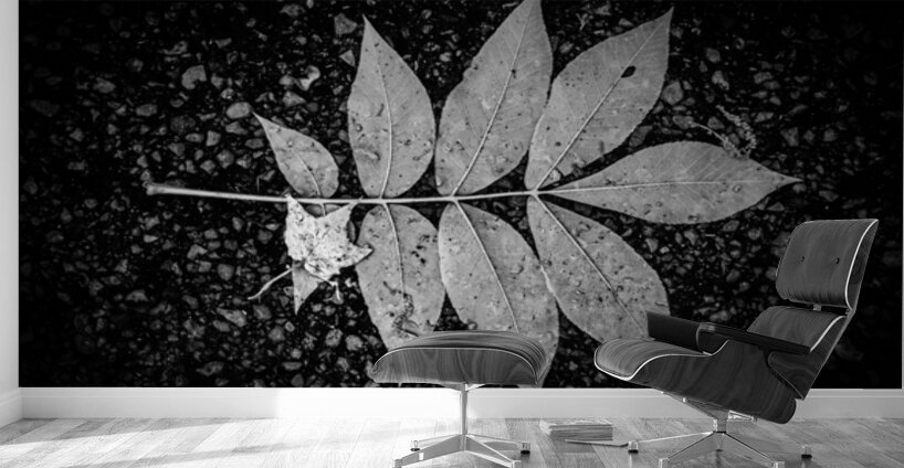 Natures Blueprint Wall Murals