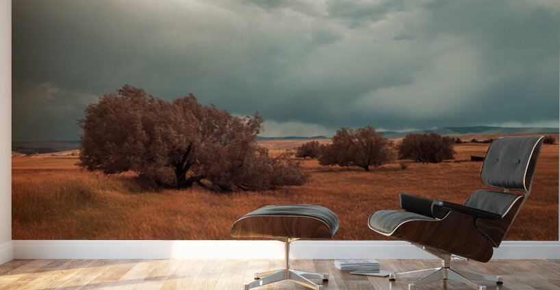 Storms Edge - Wyoming Solitude Wall Murals