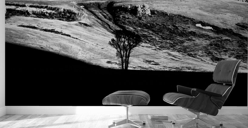 Solitary Sentinel Wall Murals